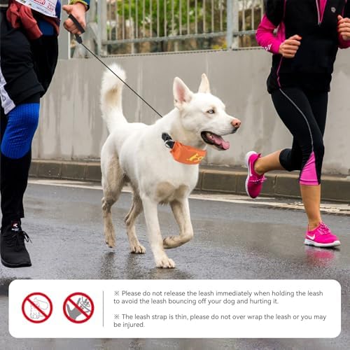 Lesypet 2 in 1 Retractable Dog Leash Collar, Hands-Free Dog Walking Collar with Retractable Leash for Medium Large Breed Dog Outdoor, Orange L