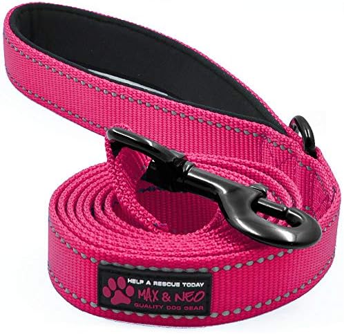 Max and Neo Reflective Nylon Dog Leash - Donate a Leash with Every Purchase (Pink, 4ft)