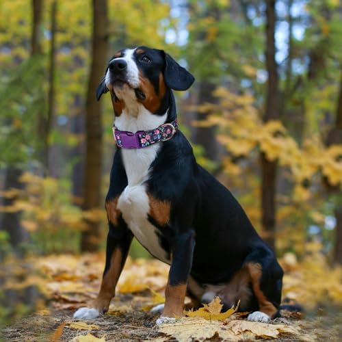 Girl Dog Collars for Large Dogs,Cute Dog Collar with Boho Flowers-L
