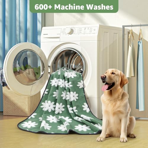 LOOBANI Extra Large Whelping Pad, 48"x48" Dog Pee Pads Washable, 2 Pack