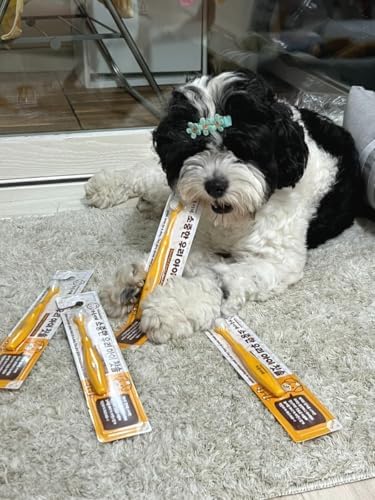 Tiny Small and Medium Dog Toothbrush Made in Korea Brush Bristles That are Soft and Do Not Irritate Your Dog’s Gums Small Toothbrush Grip and Excellent Tartar Removal (4pcs)
