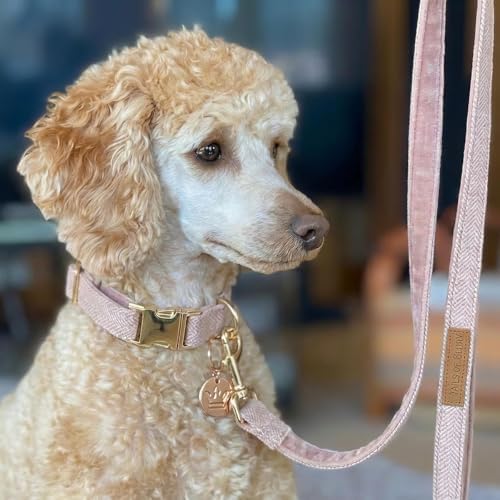 – Luxury 3-Piece Dog Walking Set – Adjustable Collar, 150 cm Leash, Poo Bag Holder – English Tweed & Soft Velvet – Elegant, Comfortable & Practical – 3 Colors
