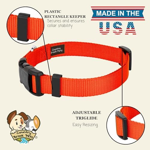 Country Brook Petz - Everyday Nylon Dog Collar for Large, Medium, and Small Dogs and Puppies - for Everyday Use in 30+ Colors (Medium, 3/4 Inch Wide, Neon Orange)