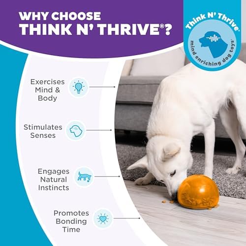Outward Hound Snoop Interactive Treat Dispensing Dog Toy, Orange, 5"