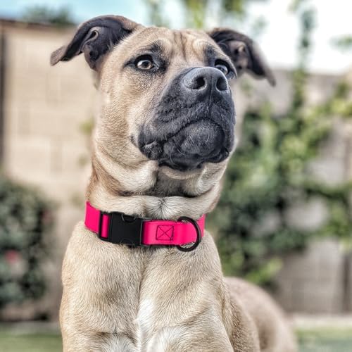 Dogline Biothane Waterproof Dog Collar with Quick Release Buckle Strong Coated Nylon Webbing with Odor- Proof for Easy Care Easy to Clean Fits Small Medium or Large Dogs, Pink 1" W 15-23" L
