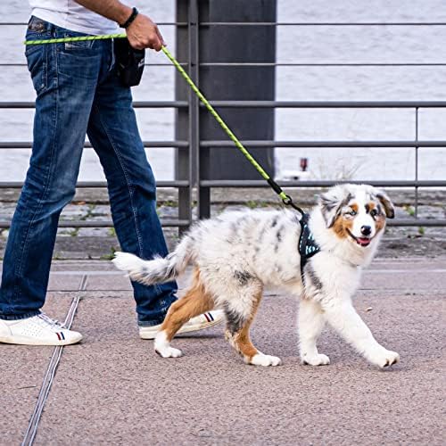 6FT Reflective Dog Leash with Padded Handle for All Dog Sizes.Green
