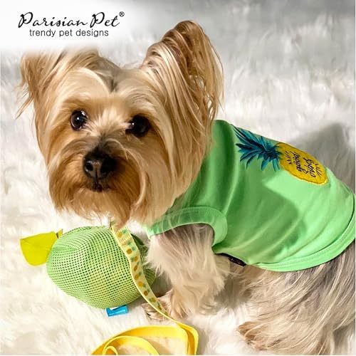 Parisian Pet Pineapple Dog Leash - Nylon Heavy Duty Training Yellow Leashes for Dogs with Comfortable Handle - Strong Metal Clip 4Ft Puppy Leash - Durable Chew Proof Leashes for Small and Medium Dogs
