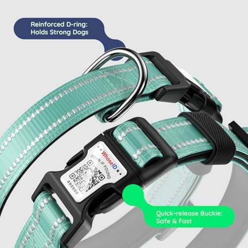 Premium Airtag Dog Collar,with IP68 Waterproof AirTag Holder,Green,XL