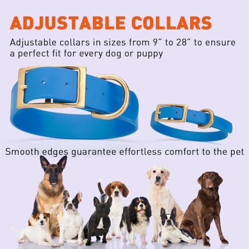 Viper Biothane Heavy Duty Waterproof Dog Collar Strong Coated Nylon Webbing w/Solid Brass Hardware Odor-Proof Easy to Clean High Performance Fits Small Medium or Large Dogs, Cerulean Blue