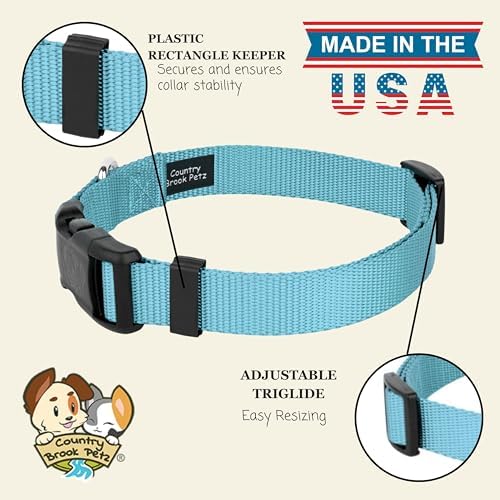 Country Brook Petz - Everyday Nylon Dog Collar for Large, Medium, and Small Dogs and Puppies - for Everyday Use in 30+ Colors (2XS, 3/8 Inch Wide, Ocean Blue)