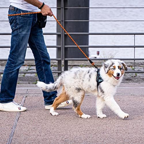 5/6 FT Strong Pet Dog Leash with Soft Padded Handle,Highly Reflective Rope for Night Walking,360-Degree Rotating Metal Buckle Without Tangles,Suitable for Small,Medium and Large Dogs.(5ft)