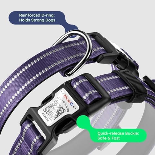 Premium Airtag Dog Collar,with IP68 Waterproof AirTag Holder,Purple,XL
