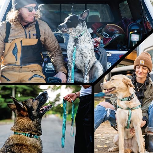 Wolfgang Heavy Duty, Adjustable Dog Collar with Quick Release Nylon Buckle for Walking & Training, GreatEscape Print, Medium
