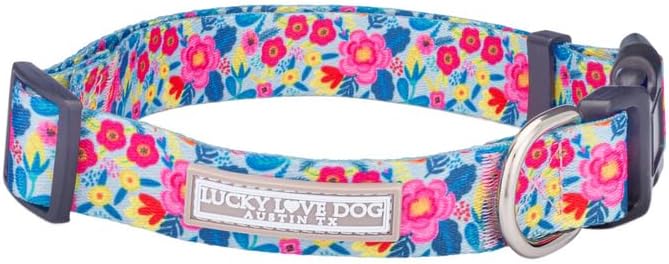Lucky Love Dog - Adjustable Dog Collar with Easy Click Buckle for Large Ones, Durable, & Comfortable for Male & Female Dogs, Pet Collar for Puppies & Adult Dogs - Valentina, Large
