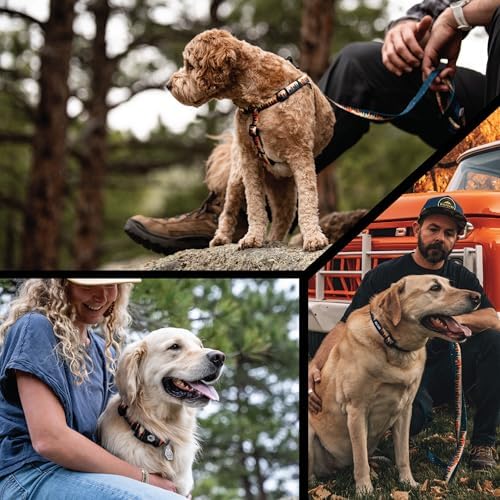 Wolfgang Heavy Duty, Adjustable Dog Collar with Quick Release Nylon Buckle for Walking & Training, Overland Print, Large