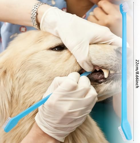 200 Pcs Dog Toothbrush Dual Headed Dental Brushes Bulk Dog Tooth Brushing Kit Long Handle Soft Bristles Pet Tooth Brush for Large and Small Dogs, Cats, Puppy Teeth Cleaning Dental Oral Care