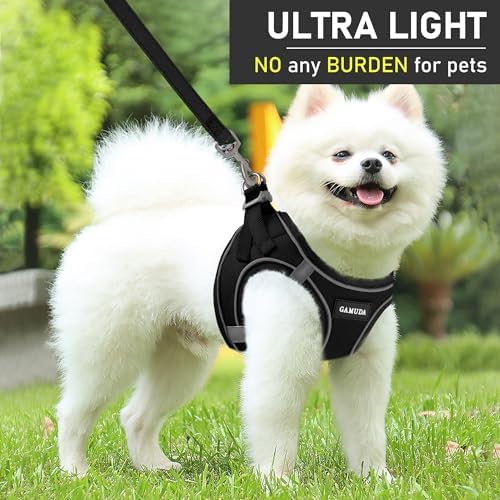 GAMUDA Small Dog Harness Collar and Leash Set, Step in No Chock No Pull Linen Fabric Soft Mesh Dog Vest Harnesses Reflective for Dogs Puppy Cats Kitten Rabbit (Black, L)