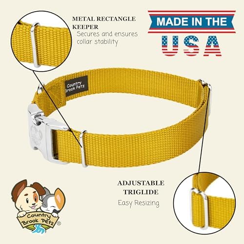 Country Brook Petz - Premium Nylon Dog Collar with Metal Buckle for Small Medium Large Breeds - 30+ Colors (Small, 3/4 Inch, Gold)