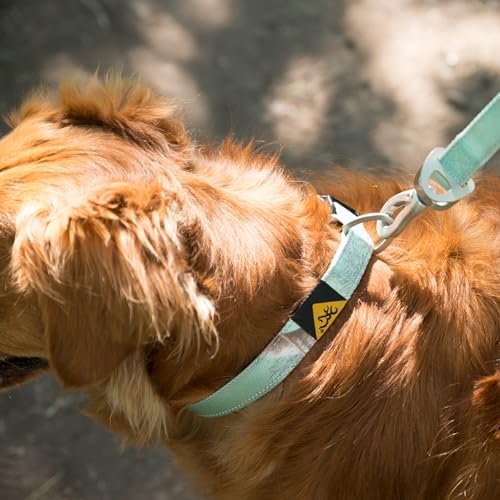Browning Classic Webbing Camo Collar, Medium, 1 x 14-20in Rt Xtra Seaglass