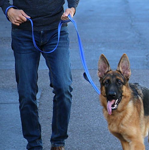 Max and Neo Triple Handle Reflective Traffic Dog Leash (Orange)
