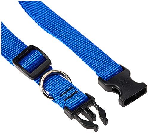 LupinePet Basics 3/4" Blue 15-25" Adjustable Collar for Large Dogs