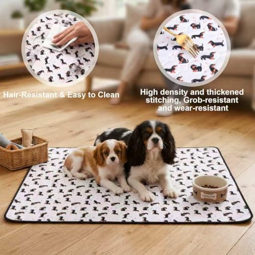 Washable Pee Pads for Dogs,2 Pack Reusable Puppy Training Pads-Funny Dachshund Print,Odor Resistant Super Absorbent,for Crate,Playpen,Floor,Whelping & Housebreaking