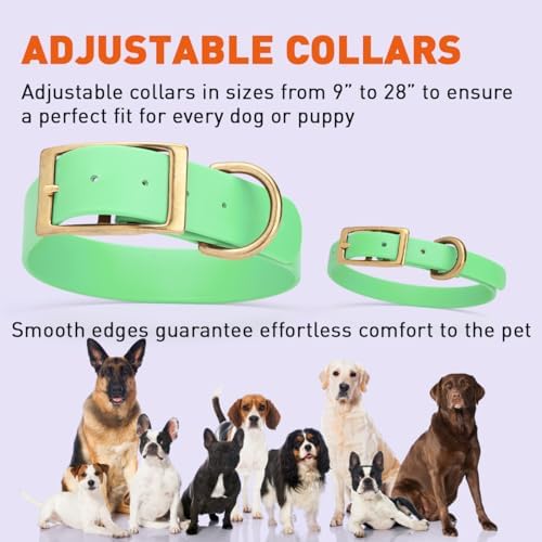 Viper Biothane Heavy Duty Waterproof Dog Collar Strong Coated Nylon Webbing w/Solid Brass Hardware Odor-Proof for Easy Care to Clean High Performance Fits Small Medium or Large Dogs, Sea Foam Green
