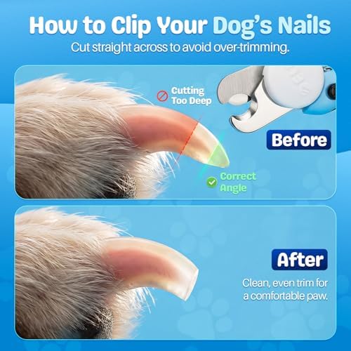 Flexzion Dog Nail Clippers and Cat Nail Trimmer with Safety Guard, Blue