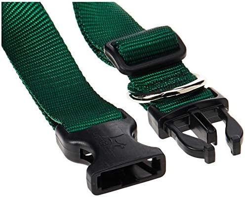 LupinePet Basics 1" Green 12-20" Adjustable Collar for Medium and Larger Dogs