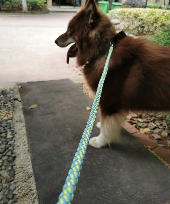 2/3/4/6/10 Foot Reflective Dog Leash Strong Nylon Rope Braided Heavy Duty for Large and Medium Small Dogs Walking Training Leads (Green, 6ft * 3/4")