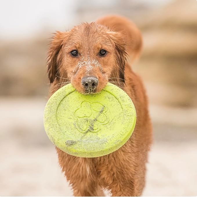 WEST PAW Zogoflex Zisc Dog Flying Disc, High Flying Aerodynamic Disc for Dogs Puppy – Lightweight, Floatable Disc for Fetch, Tug of War, Catch, Play – Doubles as Food/Water Bowl, Large, Granny Smith