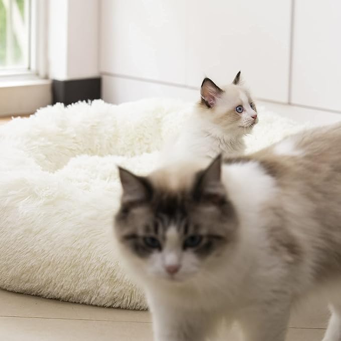 Anti Anxiety Round Fluffy Plush Faux Fur Warm Washable Dog Bed & Cat Bed, Original Bed for Small Medium Large Pets,Used to Relieve Joints and Improve Sleep(20"/24"/27'') (27", White)