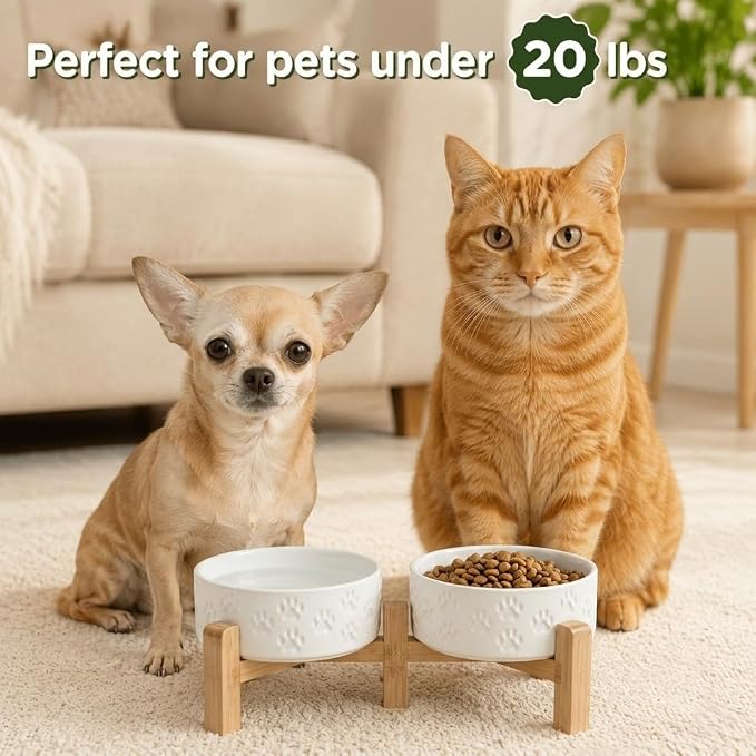 SPUNKYJUNKY Elevated Dog Bowls Ceramic, 5.1'' Dogs and Cat Food Water Bowls Raised with Non-Slip Bamboo Stand for Puppy Small Sized Breed Microwave Dishwasher Safe - 13.5 OZ,Paw White