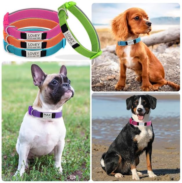 Personalized Dog Collars, Nylon Fully Reflective Dog Collar with Name Tag, Soft Padded - Custom Dogs Collars for Small, Medium, and Large Dogs&Pet
