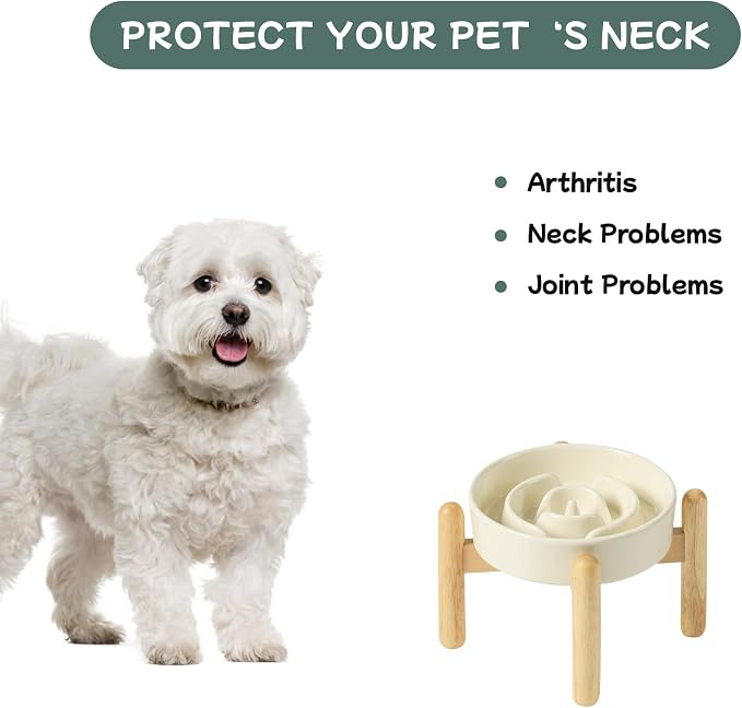 Havniva 6.1” Raised Slow Feeder Dog Bowls, 0.9 Cups Ceramic Dog Bowl Slow Feeding for Small Breed, Elevated Puzzle Dog Food Bowl with Wooden Stand Non-Slip Anti-Gulping & Anti-Choking