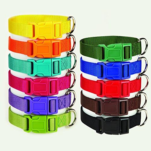 Zack & Zoey ⅝" Wide Nylon Dog Collar, Fits Necks 10" to 16", Chocolate Brown