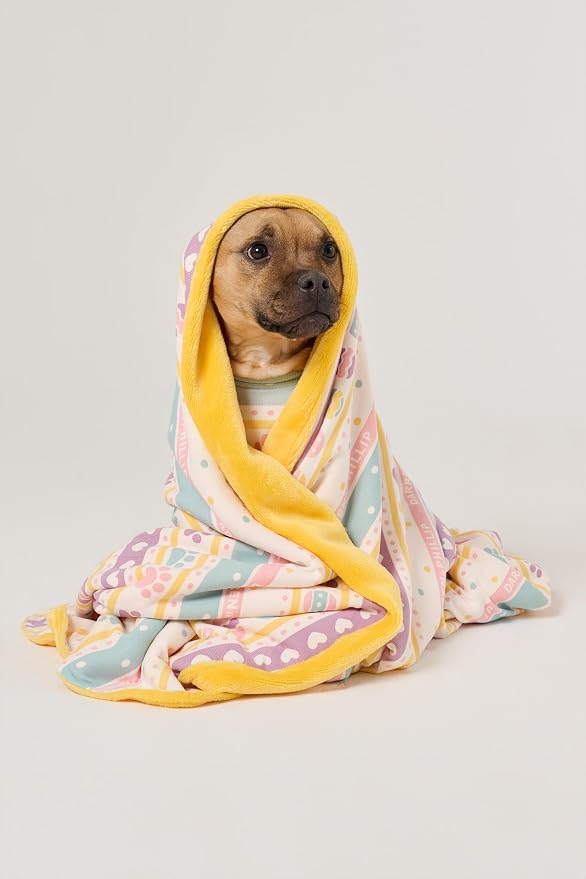 Darren & Phillip Feelin' Eggstra Blanket - Ultra-Soft Blankets Made with Plush Fleece - Perfect as a Dog Bed Blanket or for Cuddling with Your Pup - Ultra-Snuggly Blankets for Dogs & Humans