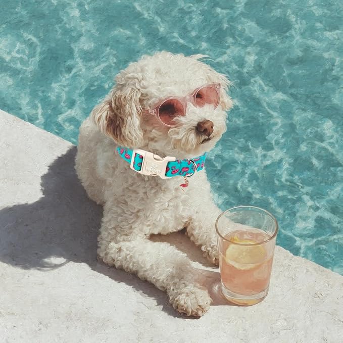 Summer Dog Collar, Cute Boy Flamingo Pool Party Dog Collars for Puppy Small Dogs - Beach Day Pup Collar, Soft Adjustable Male Pet Collars with Quick Release Buckle XS