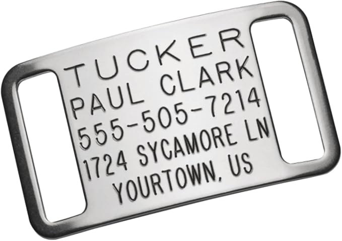 Personalized Dog Tags - Boomerang Tags, Engraved Silent Custom Slide-on Stainless Steel, Dog ID Tags Personalized (Closed End Small for 5/8 Inch Wide Nylon Collars with Belt Buckle)