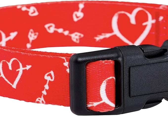 Native Pup Valentine’s Dog Collar- Valentines Day Pet Collars- Valentine Girly Hearts- Pink Red Heart- Cute Boy Girl Puppy Gift- Adjustable for Small, Medium, Large Breeds (Cupid's Arrows, Small)