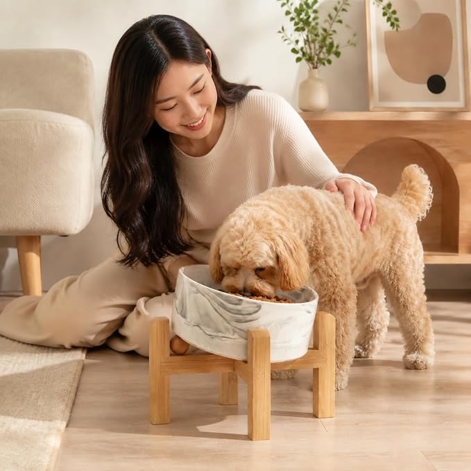 hjn Elevated Ceramic Dog Bowl 15°Slanted Raised Dog Bowl with Bamboo Stand for Small Medium Dogs and Cats, Pet Feeder -3.6-Cup (850ml)-Marble Gray