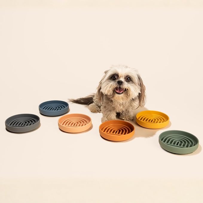 Should We Go? Slow Feeder Dog Bowls - Small Size Silicone Slow Eating Dog Bowl for Puppies & Dogs with Suction Cup -Dishwasher-Safe, Lick Mat Design, Reduces Gulping, for All Breeds, 6”x1.25”- Honey
