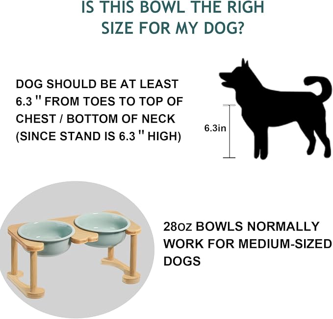 Raised Ceramic Dog Bowl, Elevated Food and Water Feeding Set, Light Green | Pet Dishes For Small and Medium Breeds, 6.9" Wide Double Modern Porcelain Bowls, 6.3" High Wooden Stand, Non-Slip, 28Oz/800ML