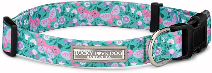 Lucky Love Dog Collar and Leash Combo, Vivid Floral Matching Girl Dog Leash and Collar Set for Small Dogs - (Mariposa Combo, Small)