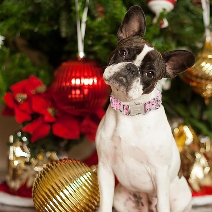 ARING PET Christmas Dog Collar, Cute Pink Santa Claus Xmas Tree Cotton Lightweight Winter Pet Collars with Quick Release Buckle for Puppy Small Medium Large Boy Girl Dogs-M