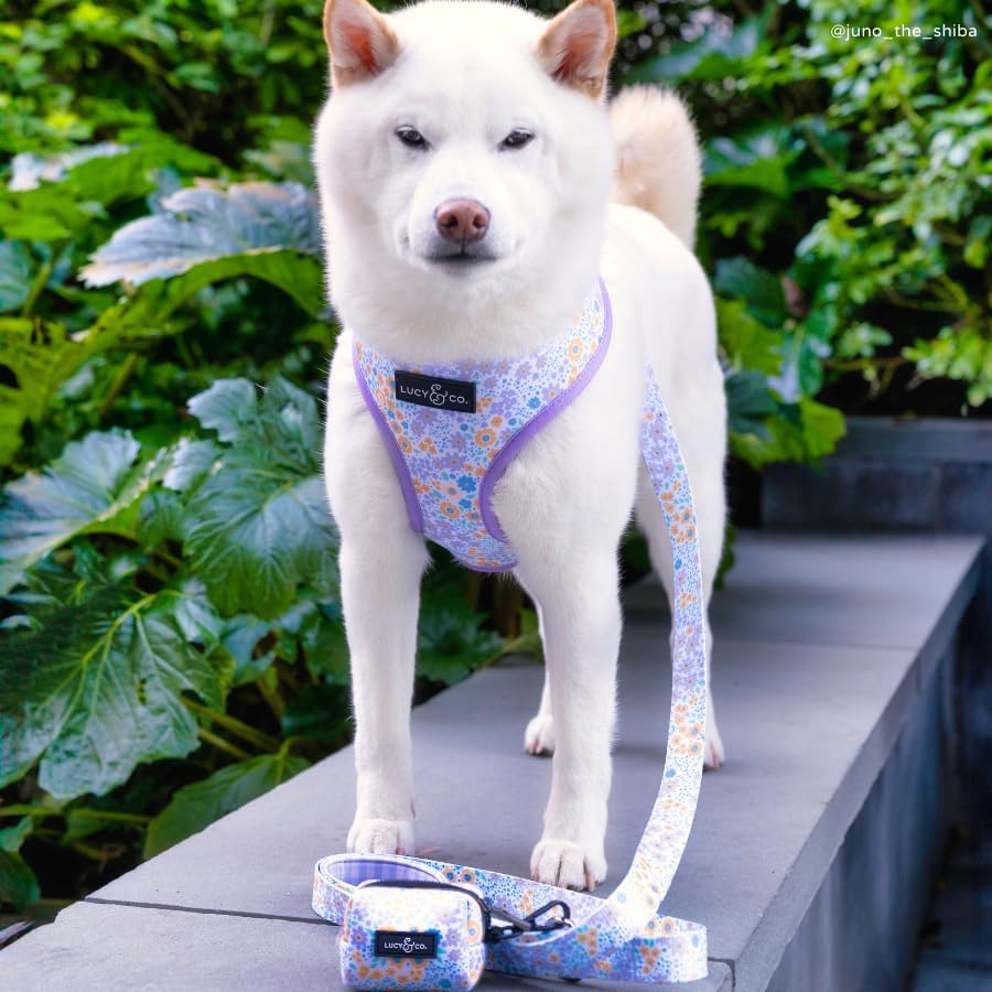 Lucy & Co. Among the Wildflowers Everyday Dog Poop Bag Holder - Leak Proof Dispenser - Hygienic Pet Poop Pickup - Purple Coral Floral
