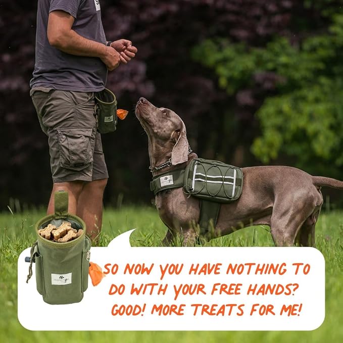 INSPECTOR TAIL Dog Treat Pouch for Training, Drawstring Bag, Hands Free | 2 Cup Tote, 4 Ways to Wear, No Bounce, Pull-Out Liner, Pockets for Snacks, Poop Bags & Keys, Pet Walking & Rewarding Holder