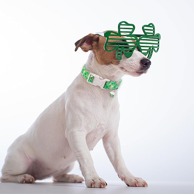 ARING PET St Patrick's Day Dog Collar, Cute Green Lucky Clovers Adjustable Shamrock Pet Collars Trefoil Puppy Collar Gifts with Quick Release Buckle for Girl&Boy Dogs-S