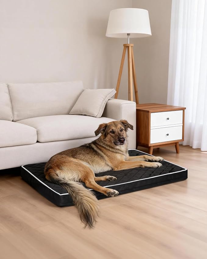 NUPIDA Orthopedic Dog Beds Large Sized Dog Waterproof Pet Kennel Pad with Removable Washable Cover and Non-Slip Bottom, 35x23 Inch, Black