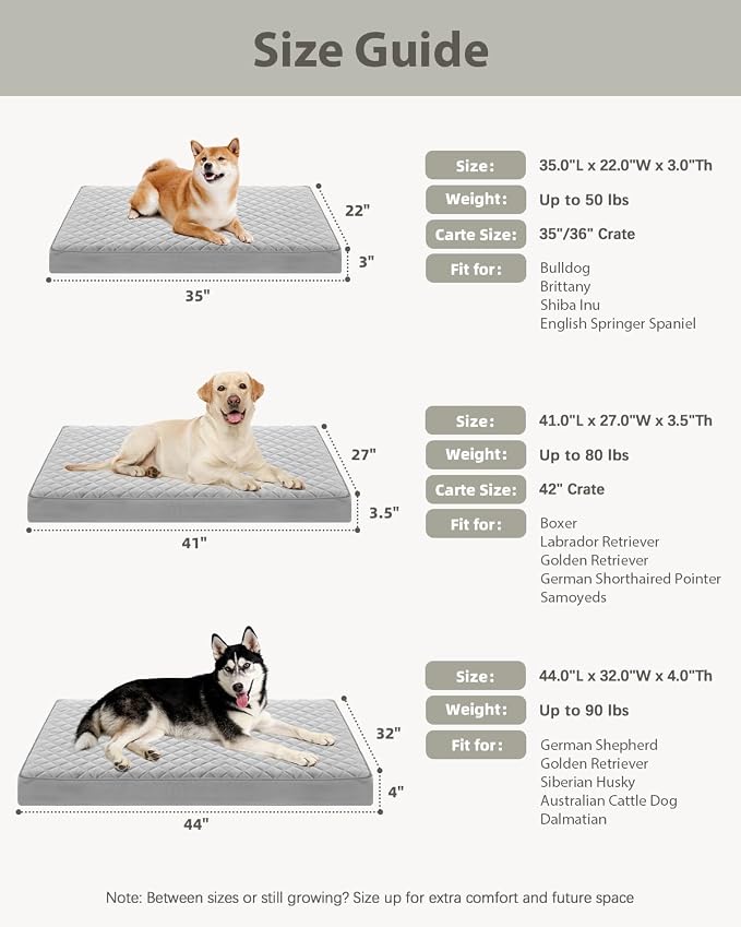 NUPIDA Orthopedic Dog Beds Large Sized Dog Waterproof Pet Kennel Pad with Removable Washable Cover and Non-Slip Bottom, 35x23 Inch, Pink